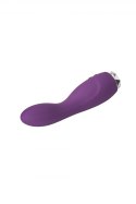 FLIRTS G-SPOT VIBRATOR PURPLE