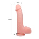 BAILE- BARBARA, MULTI-SPEED VIBRATION 3 AAA BATTERIES