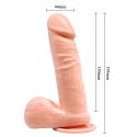 BAILE- REALISTIC MALE COCK AND TIGHT ASS, SUCTION BASE