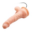 BAILE- REALISTIC MALE COCK AND TIGHT ASS, VIBRATION SUCTION BASE