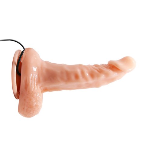 BAILE- REALISTIC MALE COCK AND TIGHT ASS, VIBRATION SUCTION BASE BAILE- REALISTIC MALE COCK AND TIGHT ASS, VIBRATION SUCTION BASE