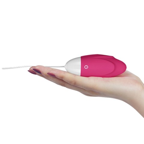 IJOY WIRELESS REMOTE CONTROL RECHARGEABLE EGG IJOY WIRELESS REMOTE CONTROL RECHARGEABLE EGG