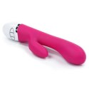 DREAMER RECHARGEABLE VIBRATOR