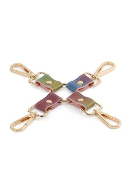 SPECTRA BONDAGE HOGTIE RAINBOW