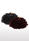 ROSE JAPANESE DRIP CANDLE 2PCS