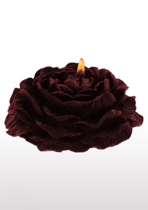 ROSE JAPANESE DRIP CANDLE 2PCS ROSE JAPANESE DRIP CANDLE 2PCS