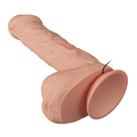 BAILE-BEAUTIFUL BERGRISI VIBRATION 10.2"" BAILE-BEAUTIFUL BERGRISI VIBRATION 10.2""