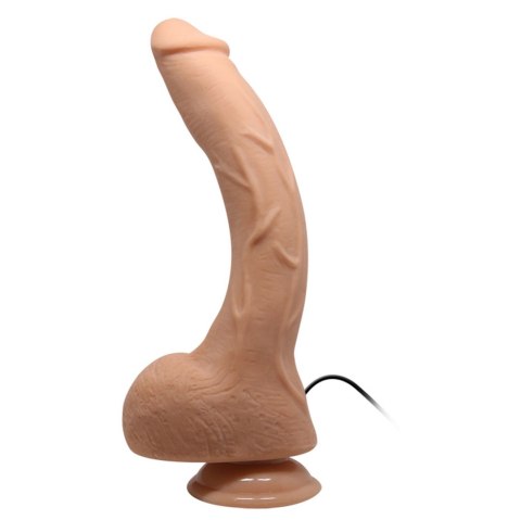 BAILE-Beautiful Jack 10.6"" BAILE-Beautiful Jack 10.6""