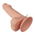 BAILE-BEAUTIFUL ZEBULON VIBRATION 7.6""