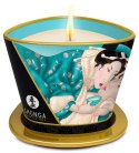 MASSAGE CANDLE ISLAND BLOSSOMS