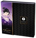 NAUGHTY GEISHA KIT