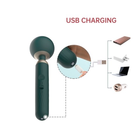 ZENITH APP CONTROLLED CORDLESS SMART WAND ZENITH APP CONTROLLED CORDLESS SMART WAND