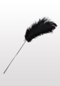 Feather Tickler