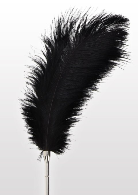 Feather Tickler Feather Tickler