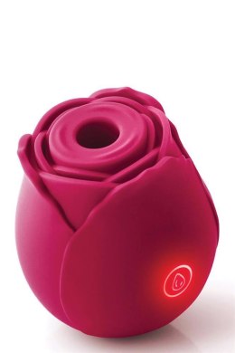 INYA THE ROSE RED
