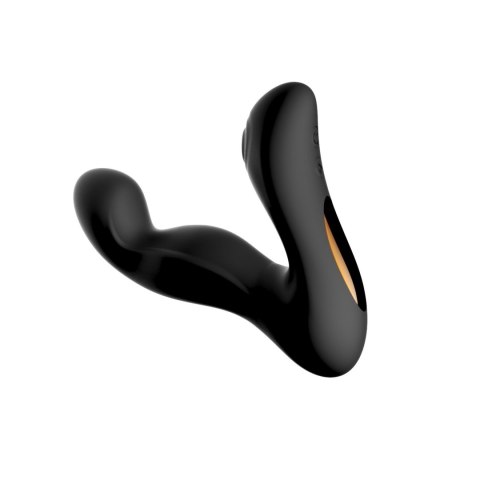 MULTIPLE FUNCTION PROSTATE VIBRATOR MULTIPLE FUNCTION PROSTATE VIBRATOR