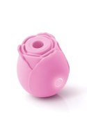 INYA The Rose Pink