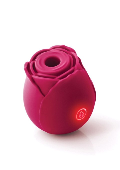 INYA The Rose Red INYA The Rose Red