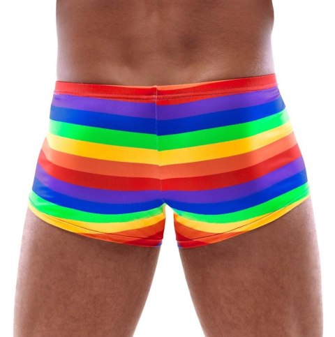 Men's Boxer Briefs Rainbow L Men's Boxer Briefs Rainbow L