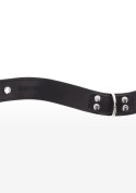 Elegant D-Ring Collar