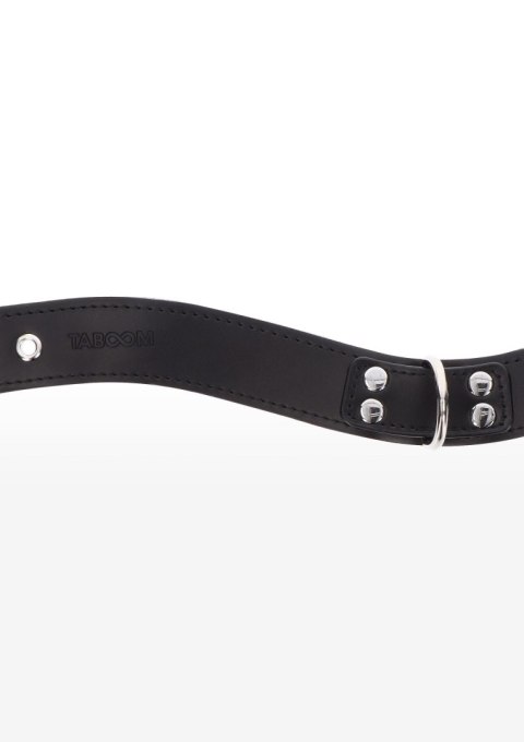 Elegant D-Ring Collar Elegant D-Ring Collar