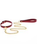 O-RING COLLAR AND CHAIN LEASH