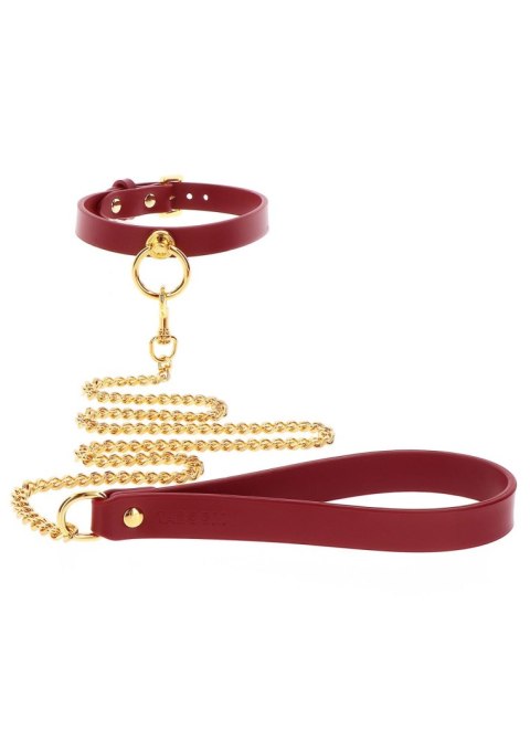 O-RING COLLAR AND CHAIN LEASH O-RING COLLAR AND CHAIN LEASH