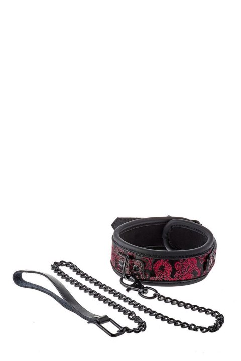 BLAZE DELUXE COLLAR & LEASH BLAZE DELUXE COLLAR & LEASH