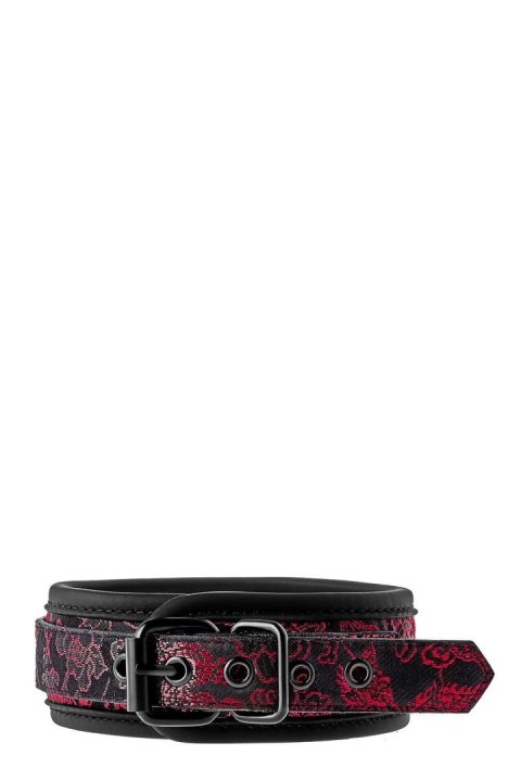 BLAZE DELUXE COLLAR & LEASH BLAZE DELUXE COLLAR & LEASH