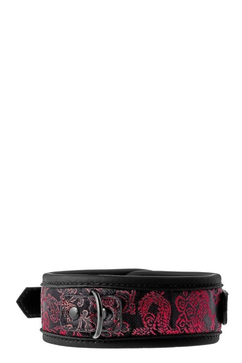 BLAZE DELUXE COLLAR & LEASH BLAZE DELUXE COLLAR & LEASH