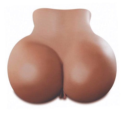 PET Fuck My Big Ass PET Fuck My Big Ass