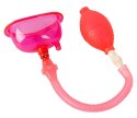 PINK PUSSY PUMP