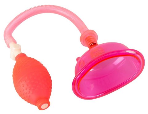 PINK PUSSY PUMP PINK PUSSY PUMP