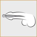 Penis Plug "Cum-Thru"
