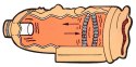 MASTURBATOR VENUS
