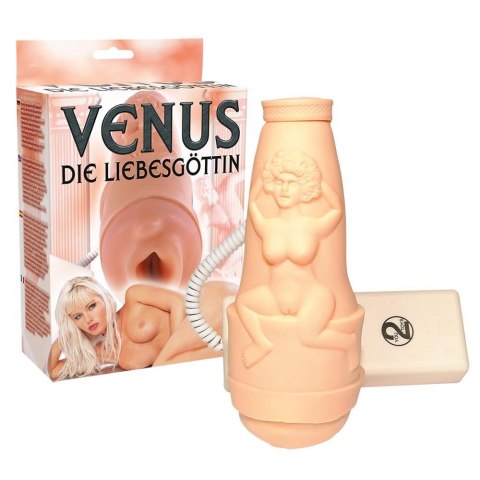MASTURBATOR VENUS MASTURBATOR VENUS
