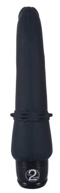 VIBRA LOTUS ANAL