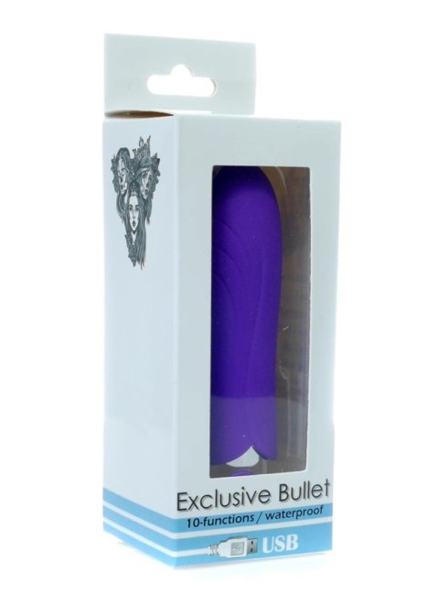 EXCLUSIVE BULLET USB 10 FUNCTIONS PURPLE EXCLUSIVE BULLET USB 10 FUNCTIONS PURPLE