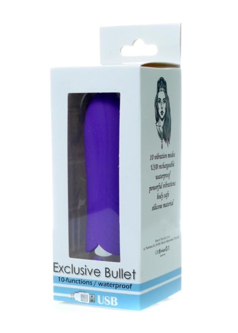 EXCLUSIVE BULLET USB 10 FUNCTIONS PURPLE EXCLUSIVE BULLET USB 10 FUNCTIONS PURPLE