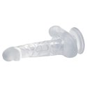 BAILE- DONG, SUCTION BASE PURPLE