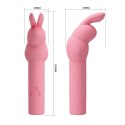 PRETTY LOVE - Gerardo, 10 vibration functions