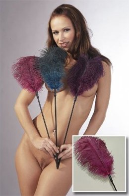 PIÓRKO DO MIZIANIA I ŁASKOTEK EROTYCZNE POBUDZANIE