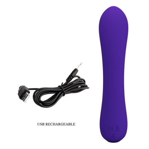 PRETTY LOVE - PRESCOTT Purple 12 vibration functions Memory function PRETTY LOVE - PRESCOTT Purple 12 vibration functions Memory function