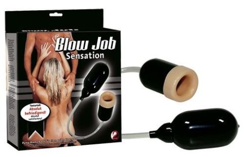 MASTURBATOR MOCNE SSANIE ROBI LODA BLOW JOB POMPKA MASTURBATOR MOCNE SSANIE ROBI LODA BLOW JOB POMPKA