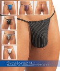 STRINGI - 7 SZT. S-L