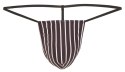 STRINGI - 7 SZT. S-L