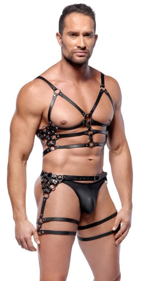 Leather Harness Set M/L Leather Harness Set M/L