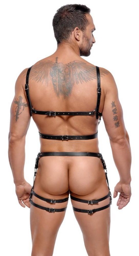 Leather Harness Set M/L Leather Harness Set M/L