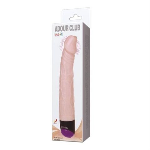 Mutil-speed vibrator Purple TPR Material Mutil-speed vibrator Purple TPR Material