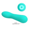Realistic Flexible Vibe, 12 Functions of Vibration